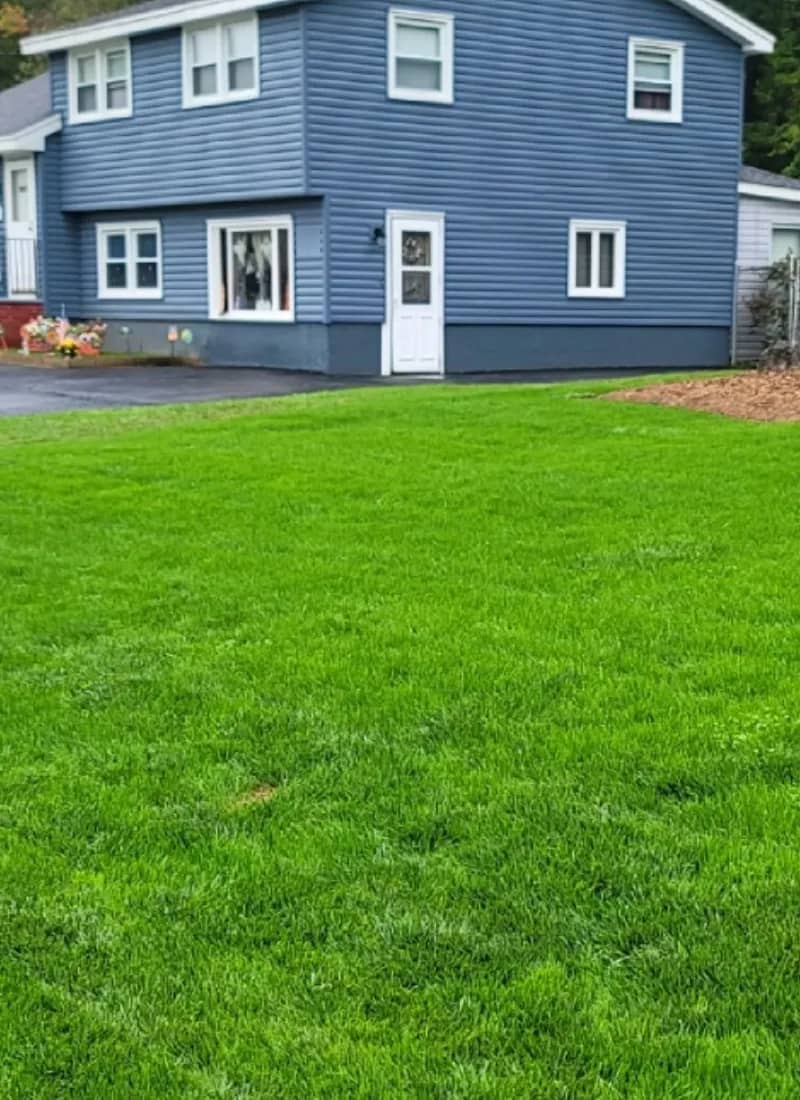 A thick, green client lawn in front of a Central New York home.