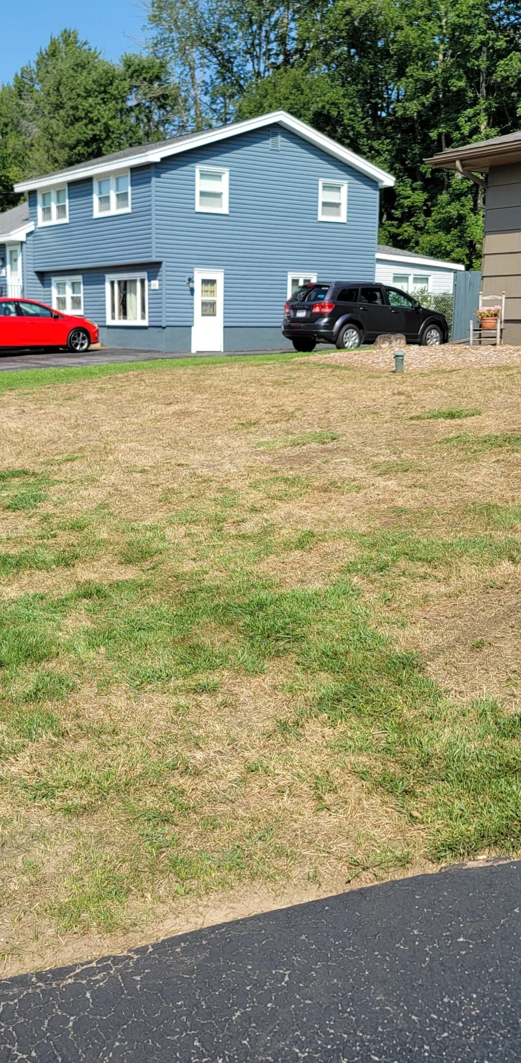 Dry, thin, straw-colored lawn at a client property before aeration and overseeding.