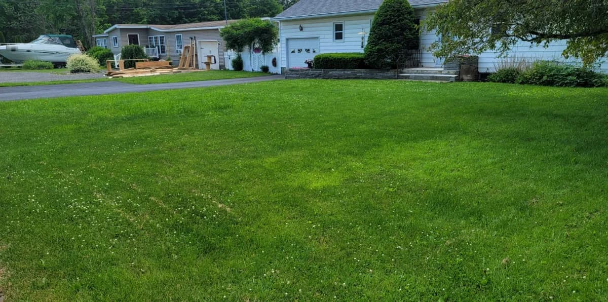 A front lawn, aerated and overseeded in spring. The aerator is in the before photo. After: The same front lawn, thick and green, in front of the white house.