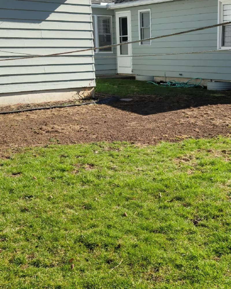 A wide strip of bare soil between a lawn and the back of a gray-blue house.