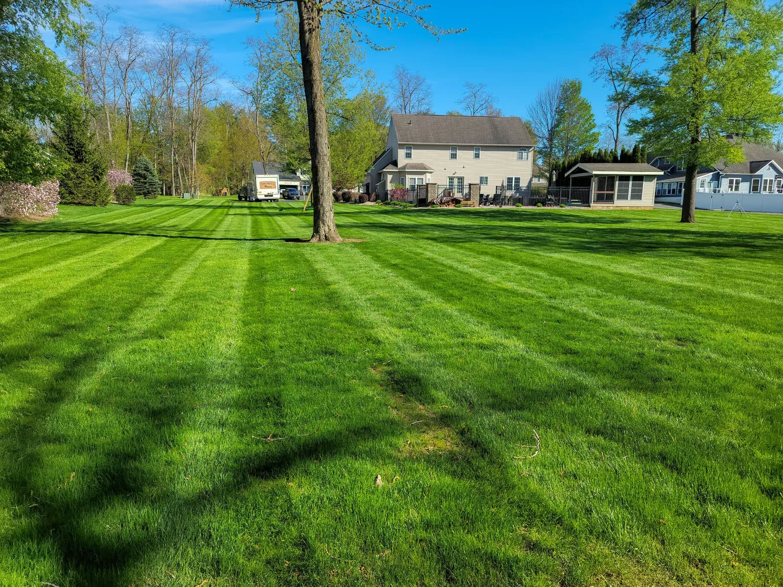 A striped lawn running back to the neighbors' homes: wide mowing stripes and long tree shadows, with homes and trees behind it.