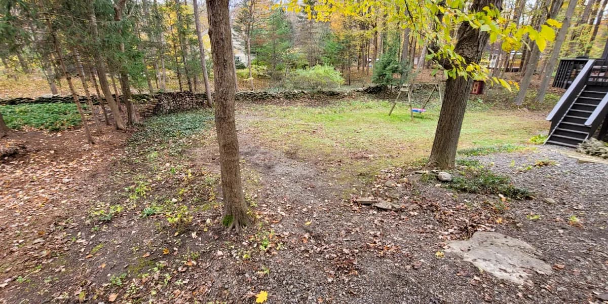 A wooded backyard by the deck stairs. After: The same backyard cleared of leaves down to the ground, with the trees and the stairway behind.