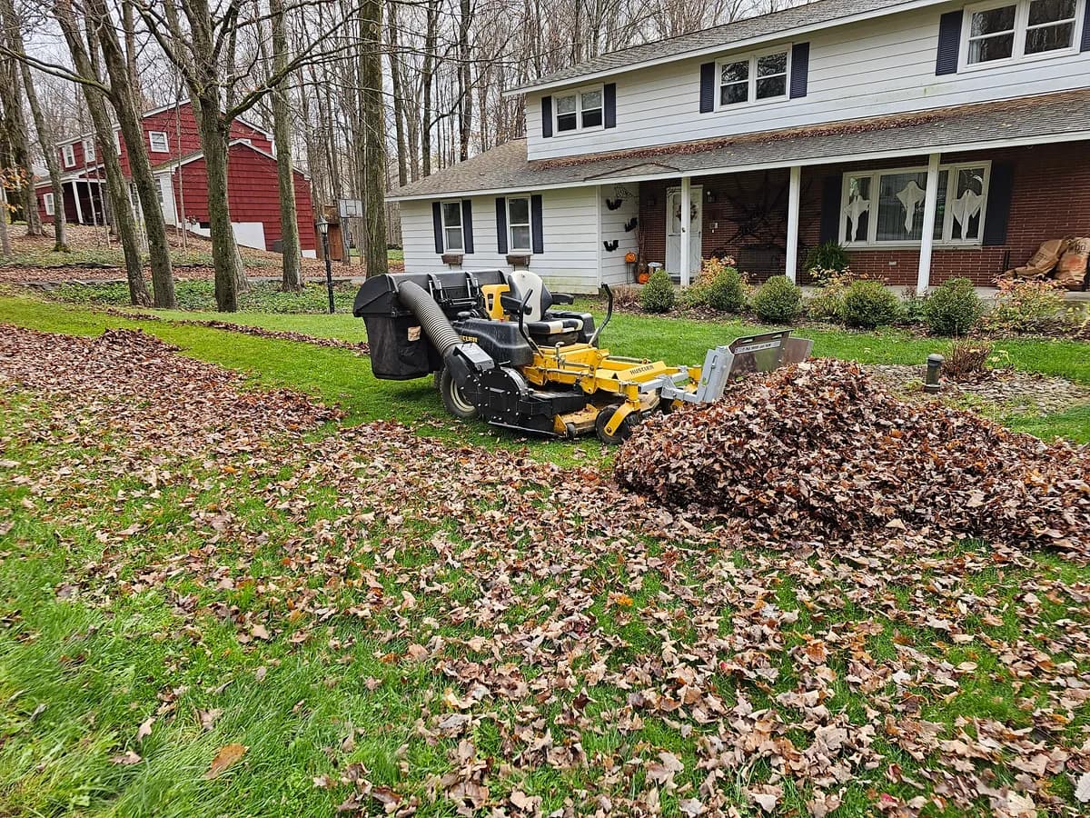 Gathering a front yard's leaves: a riding leaf vacuum working through a leaf-covered front lawn beside a pile of leaves, in front of a two-story house.