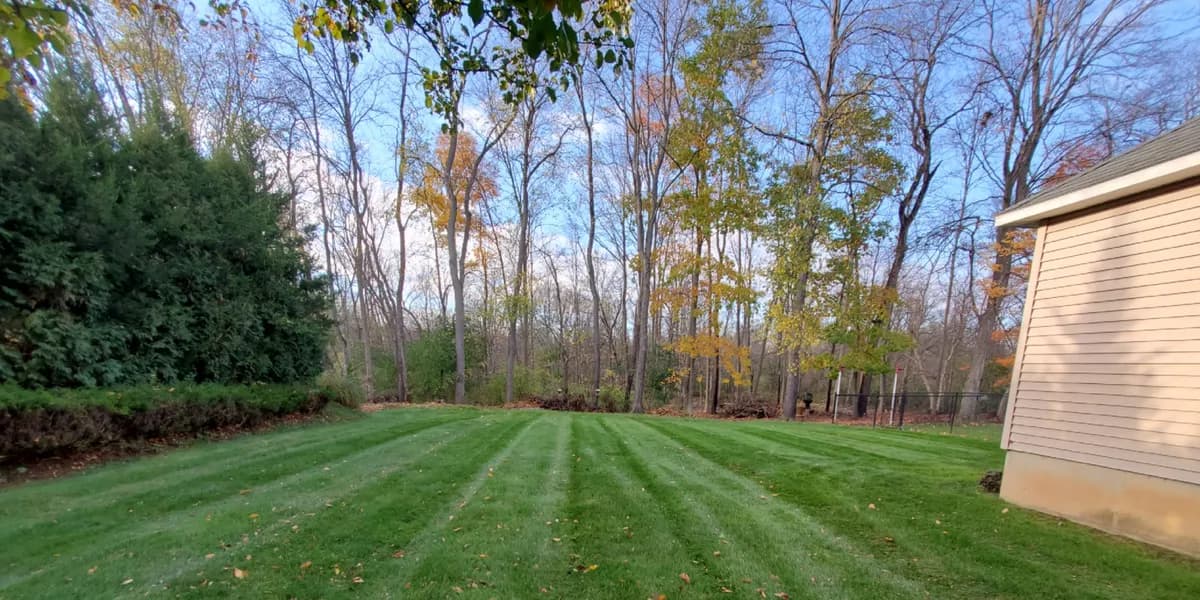 A backyard at the edge of the woods. After: The same backyard cleared of leaves and freshly striped.