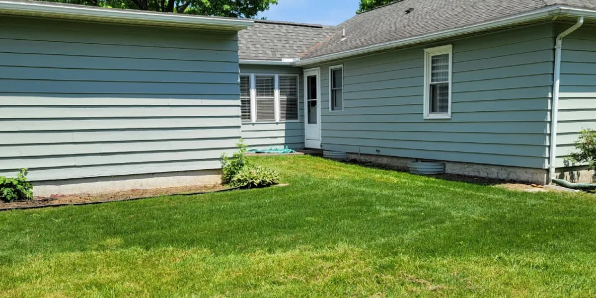 A backyard that was mostly bare soil, overseeded. After: The same backyard covered in green grass up to the house.
