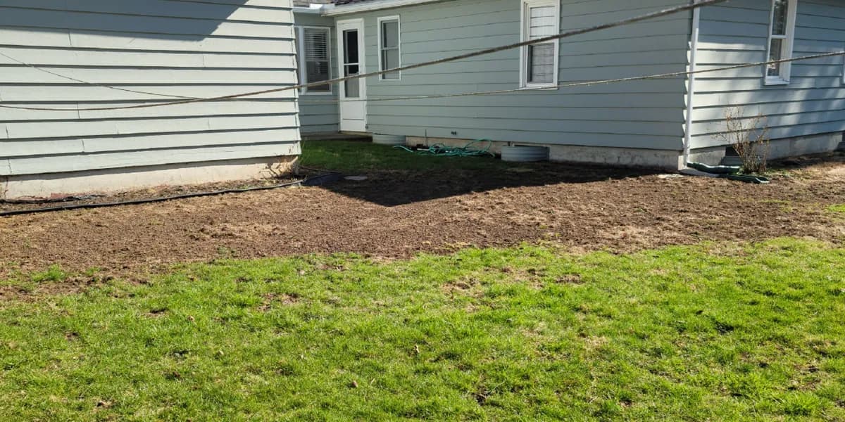 A backyard that was mostly bare soil, overseeded. Before: A backyard with a wide strip of bare soil along the back of a gray-blue house.