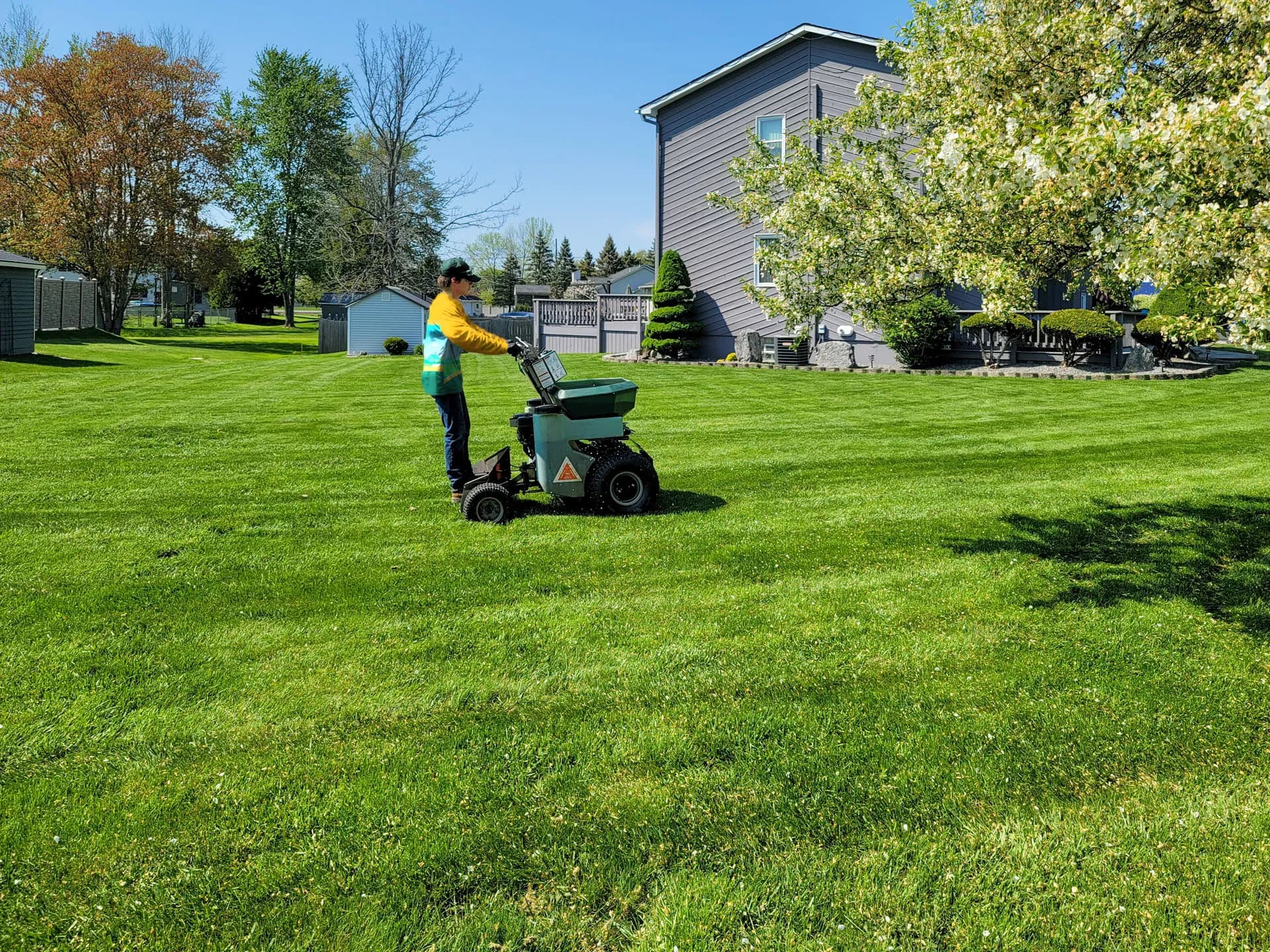 A technician in the Happy Habitat uniform riding a ride-on spreader across a green lawn.